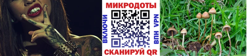 KRAKEN ТОР  Баксан  Галлюциногенные грибы мицелий 