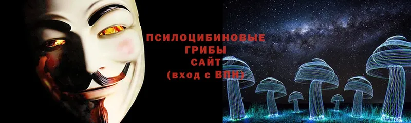 Галлюциногенные грибы Psilocybine cubensis  купить наркотик  Баксан 