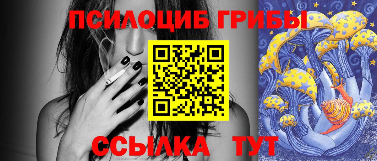 Псилоцибиновые грибы Magic Shrooms  Баксан  Галлюциногенные грибы Magic Shrooms 